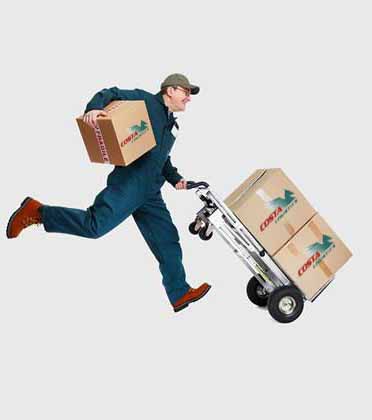 Courier Service