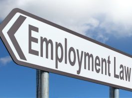 Navigating Employment Law: The Role of an Employment Law Solicitor for Employers Employment Law