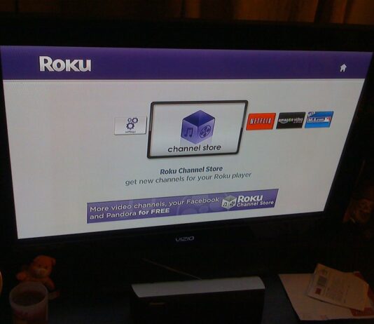 Roku App Development Services: Building the Future of Streaming Experiences Roku App Development Services